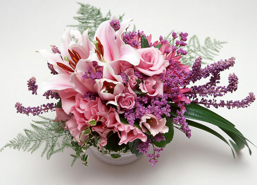 【养花知识】家里养什么花好